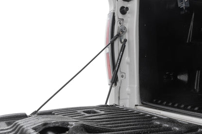 Rough Country 73214 Tailgate Assist | Ford F-150 2WD/4WD (2004-2014)