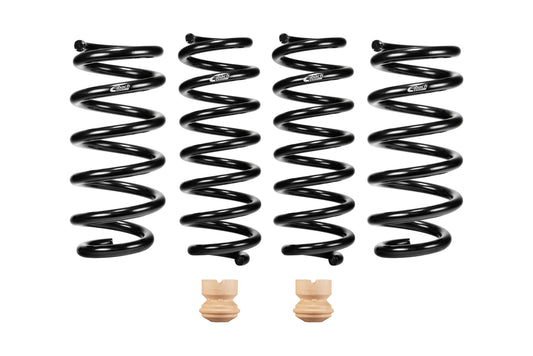 Eibach E10-201-005-01-22 Set of 4 Springs