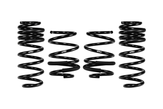 Eibach E10-201-006-02-22 Set of 4 Springs
