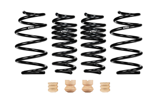 Eibach E10-23-039-01-22 Set of 4 Springs