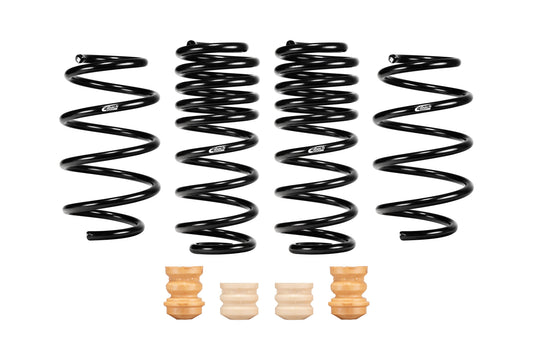 Eibach E10-23-041-01-22 Set of 4 Springs