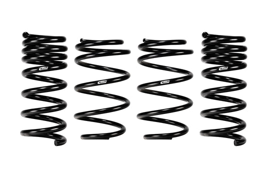 Eibach E10-35-064-02-22 Set of 4 Springs