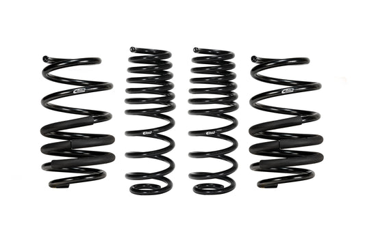 Eibach E10-42-059-01-22 Set of 4 Springs