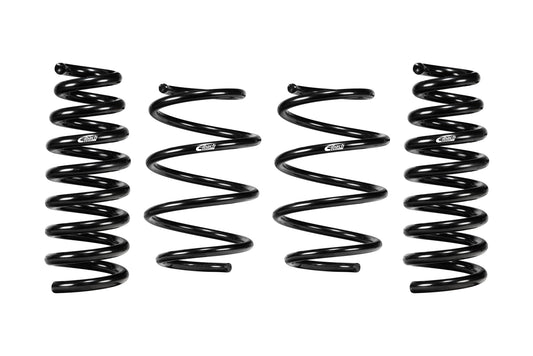 Eibach E10-42-061-02-22 Set of 4 Springs