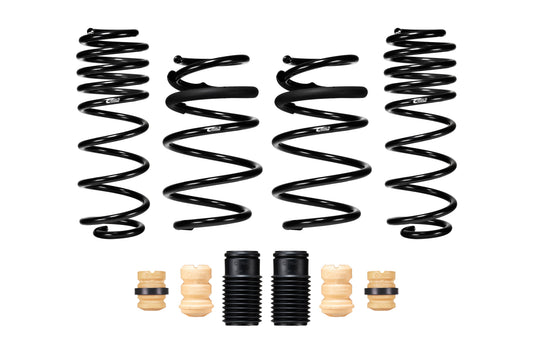 Eibach E10-42-064-01-22 Set of 4 Springs