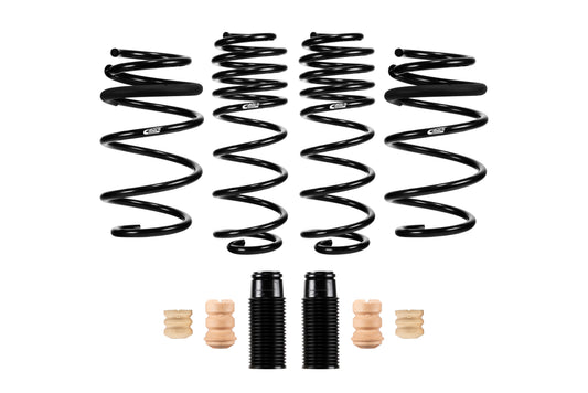 Eibach E10-46-038-01-22 Set of 4 Springs