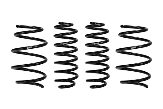 Eibach E10-46-041-01-22 Set of 4 Springs