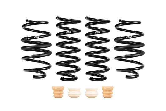 Eibach E10-46-042-01-22 Set of 4 Springs
