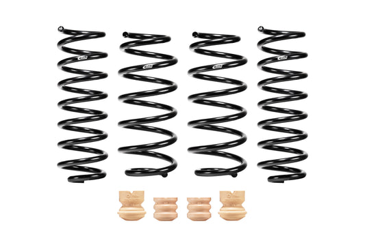 Eibach E10-51-025-02-22 Set of 4 Springs