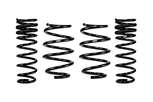 Eibach E10-77-030-01-22 Set of 4 Springs